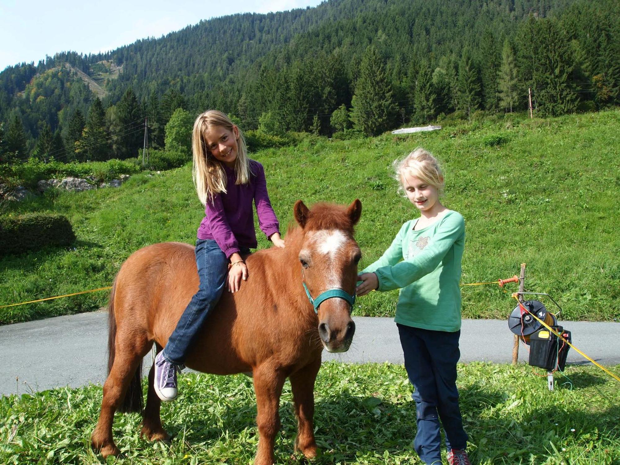 Ferienhof Obergasser Und Bergblick Weissensee Bagian luar foto